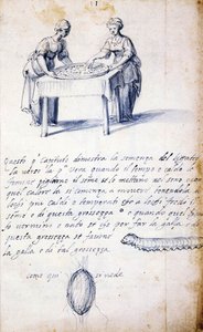 Treatise on Silk Culture and Manufacture (Series of Thirteen Drawings, No. 1) by Giuseppe Arcimboldo